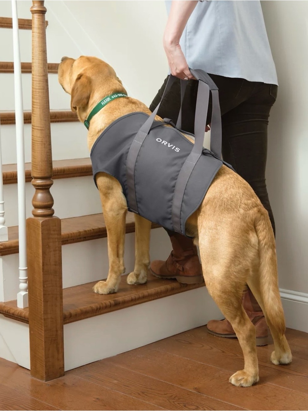 Orvis Gray Assist Dog Lift Harness with Dual Handles